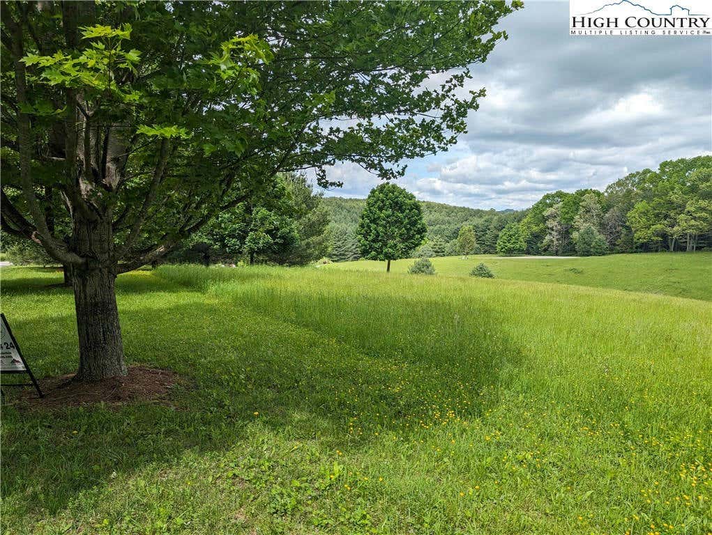 LOT 24 BEAR DEN ROAD, SPARTA, NC 28675, photo 1 of 17