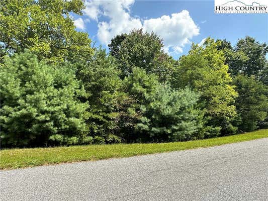 LOT 31E CASCADE RUN, PURLEAR, NC 28665 - Image 1