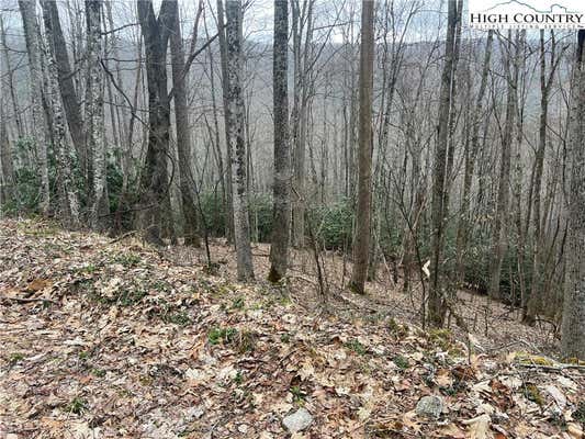 LOT 82 BUCKEYE CREEK ROAD, BEECH MOUNTAIN, NC 28604, photo 4 of 8