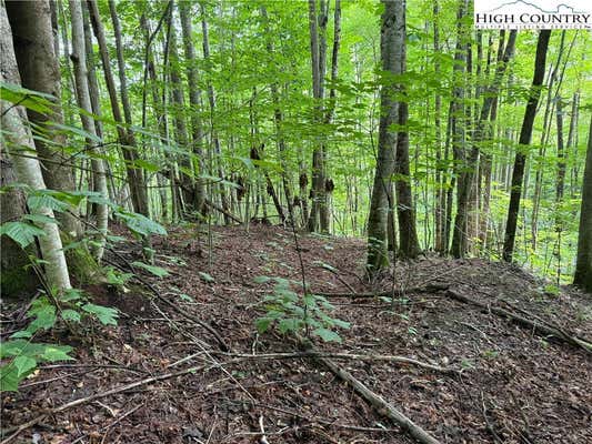 LOT 3 BUCKEYE RIDGE ROAD, BEECH MOUNTAIN, NC 28604 - Image 1