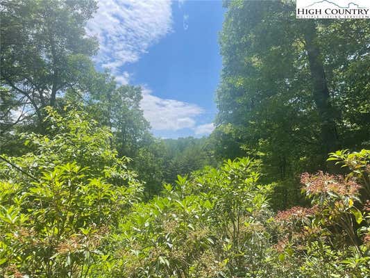 3 OLD FIELD CREEK AND LOW NOTCH ROAD, GRASSY CREEK, NC 28631 - Image 1