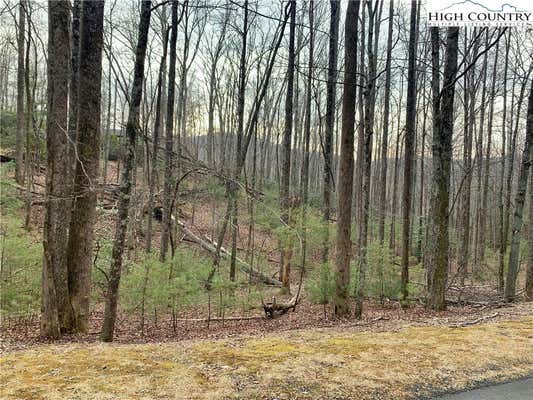 TBD W LAUREL CIRCLE, DEEP GAP, NC 28618, photo 2 of 47