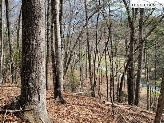 LOT 72 CREEKSIDE MEADOWS DRIVE, FLEETWOOD, NC 28626, photo 3 of 9