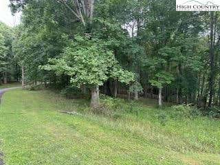 LOT #81 PRIME CIRCLE, PINEY CREEK, NC 28663 - Image 1