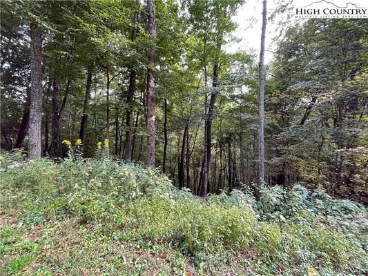 LOT 45 PARADISE VALLEY, CRESTON, NC 28615, photo 5 of 11