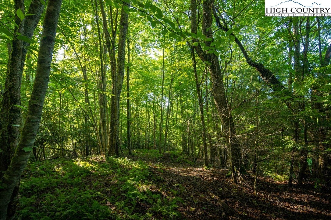 Boone, North Carolina, 28607, United States, 4 Bedrooms Bedrooms, ,5 BathroomsBathrooms,Residential,Active,1985858