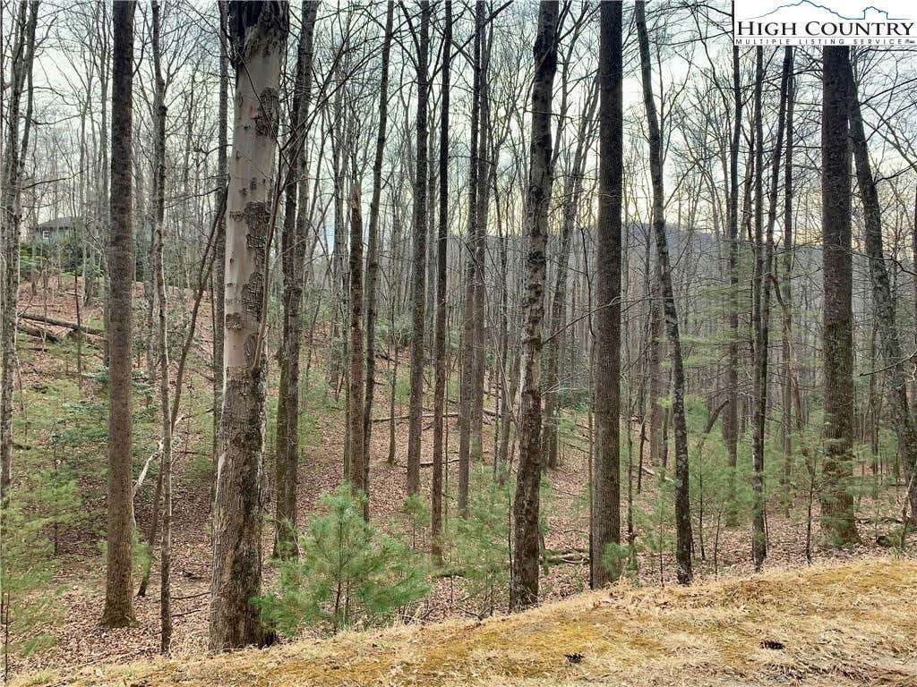 TBD W LAUREL CIRCLE, DEEP GAP, NC 28618, photo 1 of 47