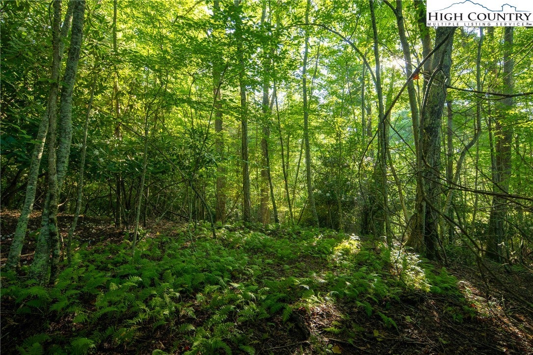 Boone, North Carolina, 28607, United States, 4 Bedrooms Bedrooms, ,5 BathroomsBathrooms,Residential,Active,1985858