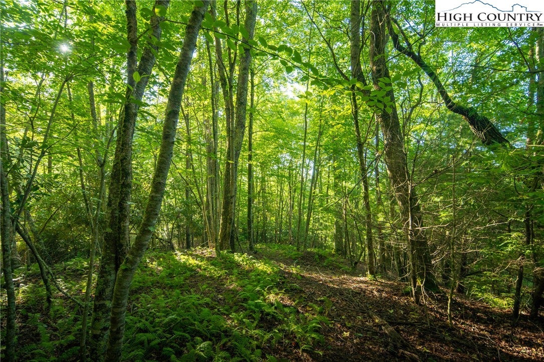 Boone, North Carolina, 28607, United States, 4 Bedrooms Bedrooms, ,5 BathroomsBathrooms,Residential,Active,1985858