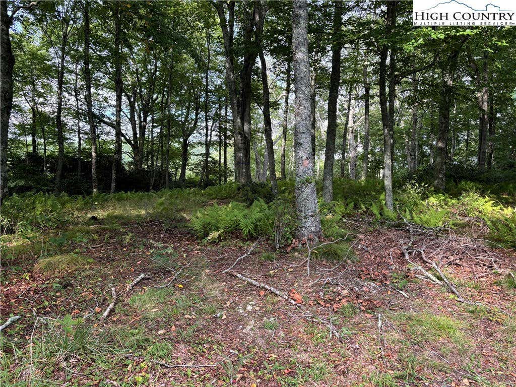 LOT 3 FIELDSTONE HTS DRIVE, BLOWING ROCK, NC 28605, photo 1 of 27