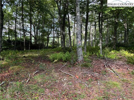 LOT 3 FIELDSTONE HTS DRIVE, BLOWING ROCK, NC 28605 - Image 1