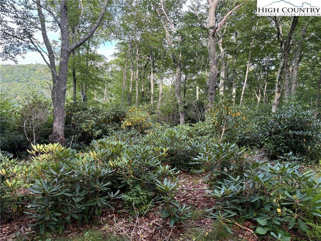 LOT 4 FIELDSTONE HTS DRIVE, BLOWING ROCK, NC 28605, photo 1 of 32