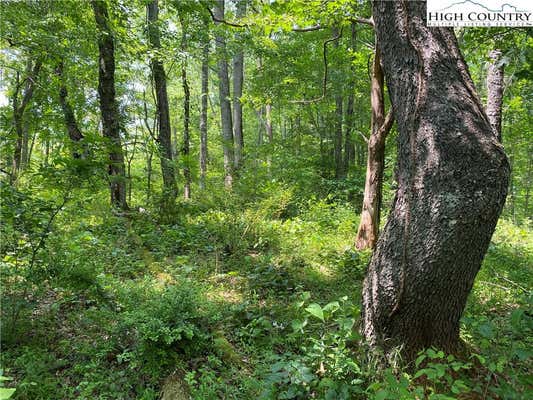 999999 N 226 HIGHWAY, BAKERSVILLE, NC 28705, photo 2 of 36