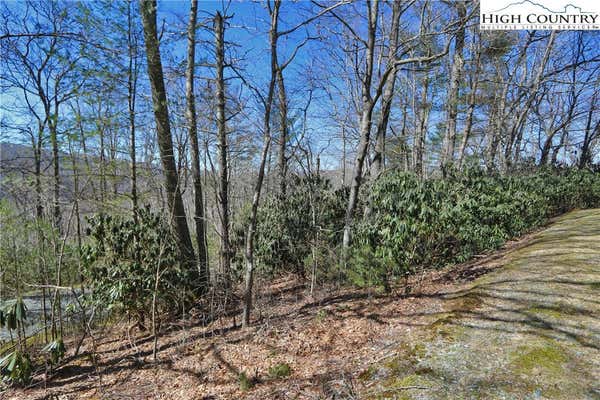 LOTS 47 & 48 ABACO DRIVE, VILAS, NC 28692, photo 4 of 36