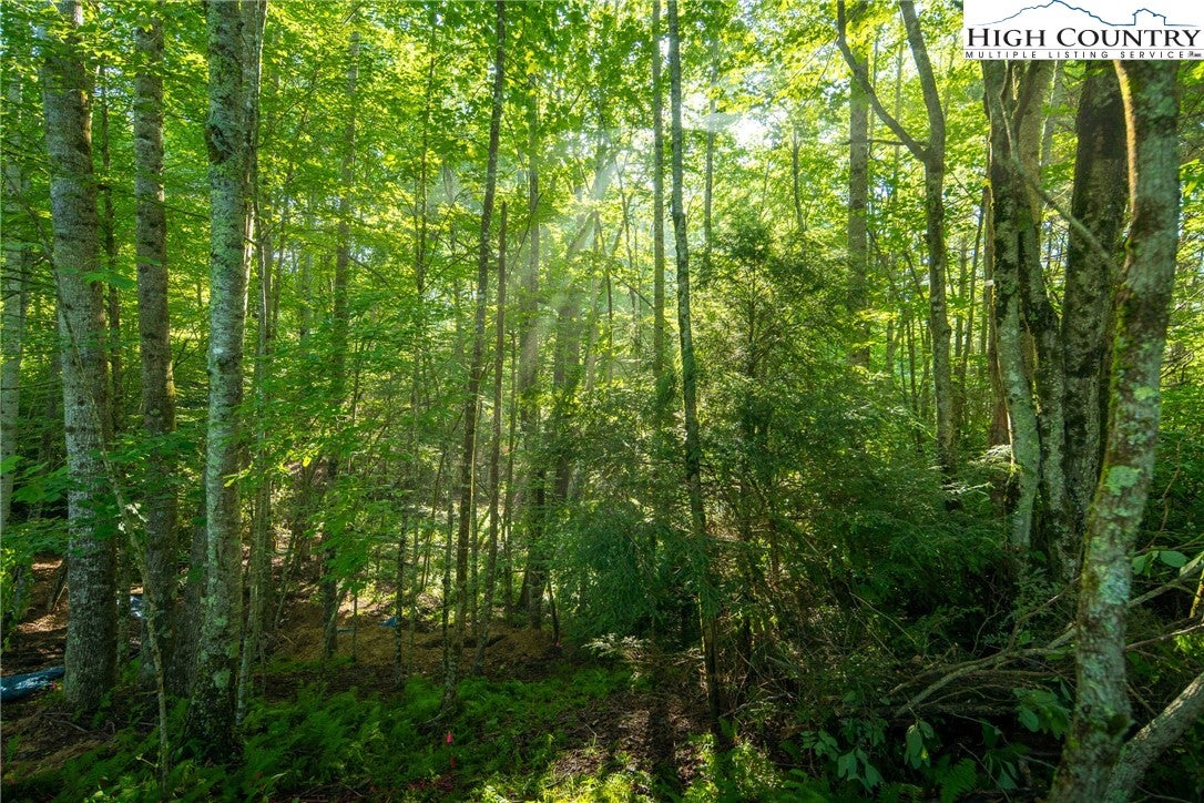 Boone, North Carolina, 28607, United States, 4 Bedrooms Bedrooms, ,5 BathroomsBathrooms,Residential,Active,1985858