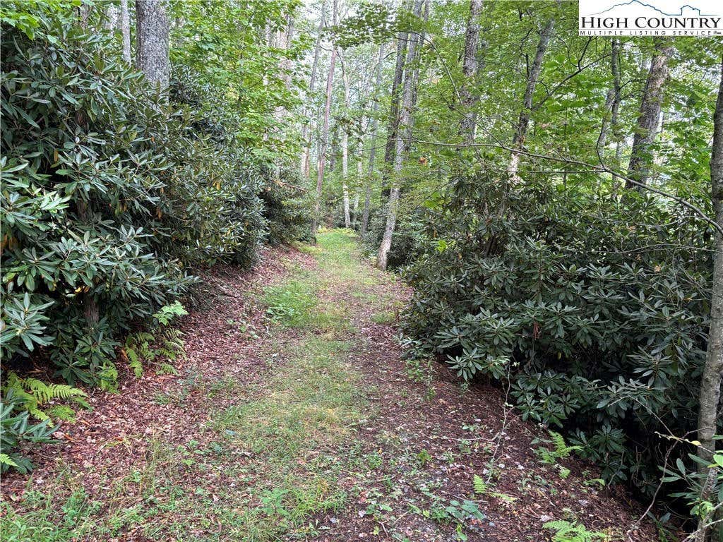 LOT 1 & 2 FIELDSTONE HTS DRIVE, BLOWING ROCK, NC 28605, photo 1 of 32