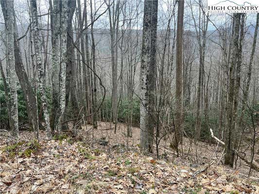 LOT 82 BUCKEYE CREEK ROAD, BEECH MOUNTAIN, NC 28604, photo 5 of 8