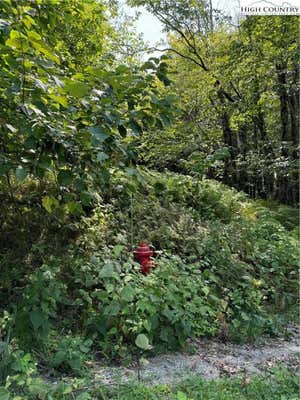 TBD CRANBERRY LANE, BEECH MOUNTAIN, NC 28604, photo 3 of 4