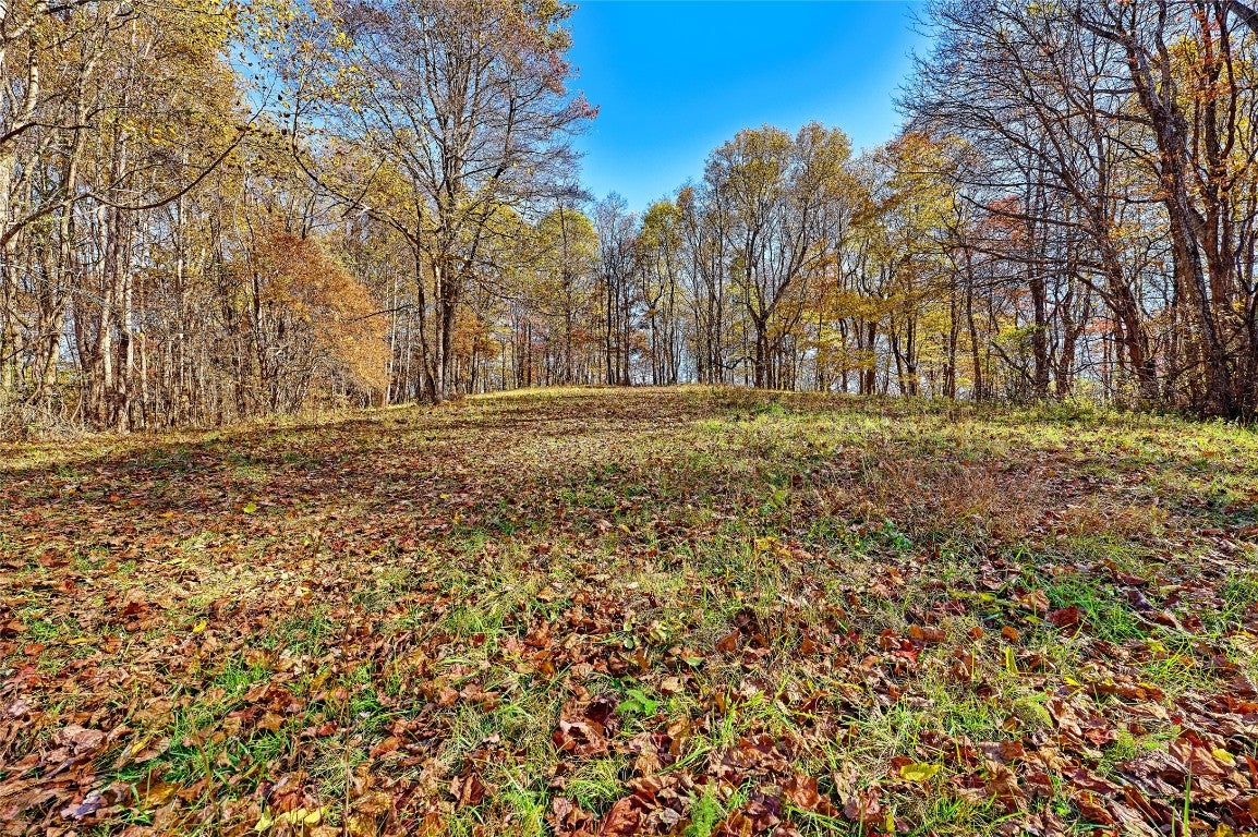 Highlands, North Carolina, 28741, United States, 2 Bedrooms Bedrooms, ,2 BathroomsBathrooms,Residential,Active,1988451