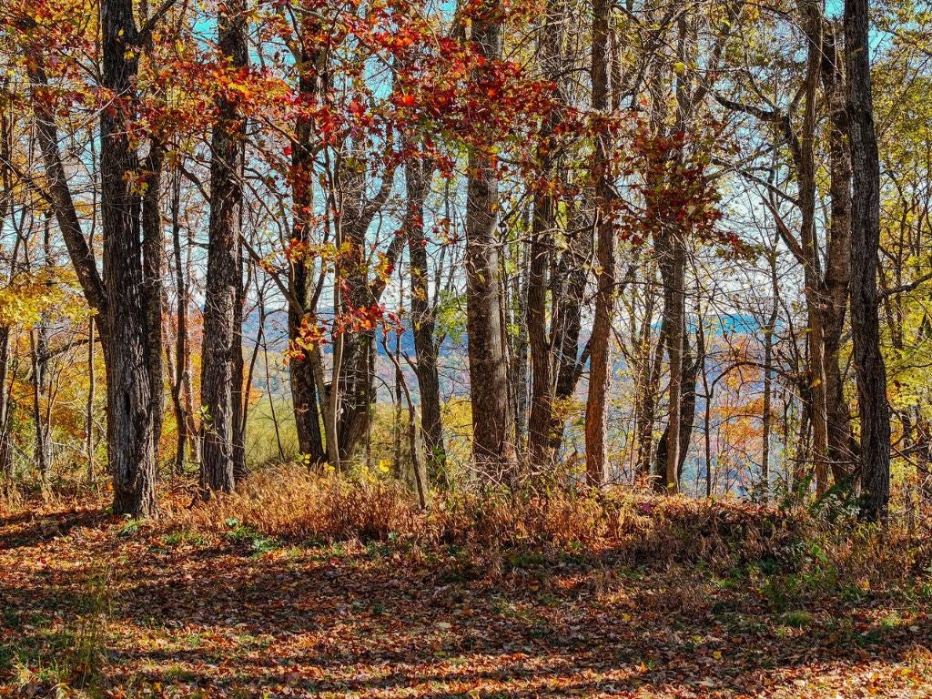 Highlands, North Carolina, 28741, United States, 2 Bedrooms Bedrooms, ,2 BathroomsBathrooms,Residential,Active,1988451