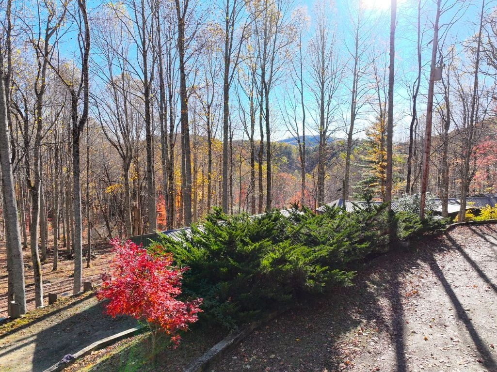 Highlands, North Carolina, 28741, United States, 2 Bedrooms Bedrooms, ,2 BathroomsBathrooms,Residential,Active,1988451