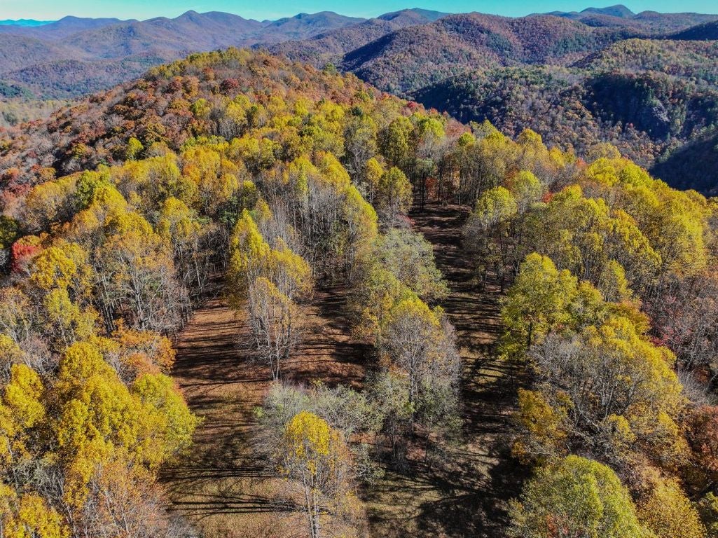 Highlands, North Carolina, 28741, United States, 2 Bedrooms Bedrooms, ,2 BathroomsBathrooms,Residential,Active,1988451