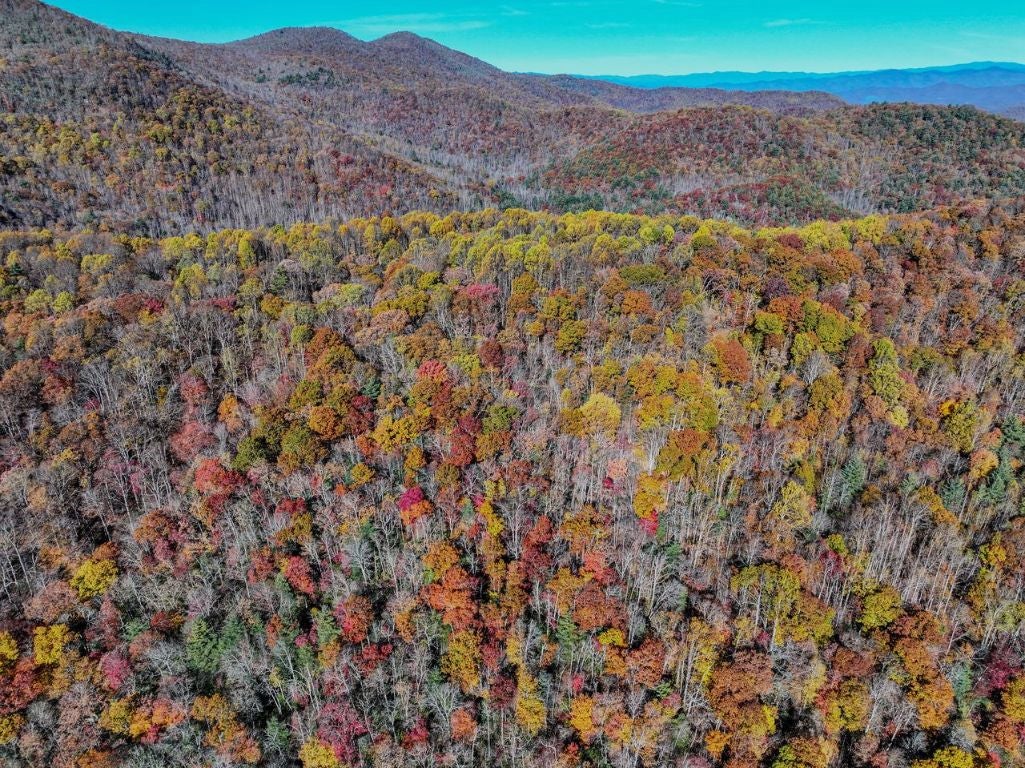 Highlands, North Carolina, 28741, United States, 2 Bedrooms Bedrooms, ,2 BathroomsBathrooms,Residential,Active,1988451