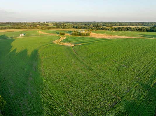 0000 AFEK ROAD, HIGGINSVILLE, MO 64037, photo 4 of 40