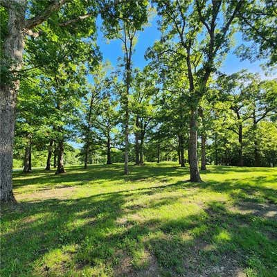 BUCKLEY LANE, COLE CAMP, MO 35625 - Image 1