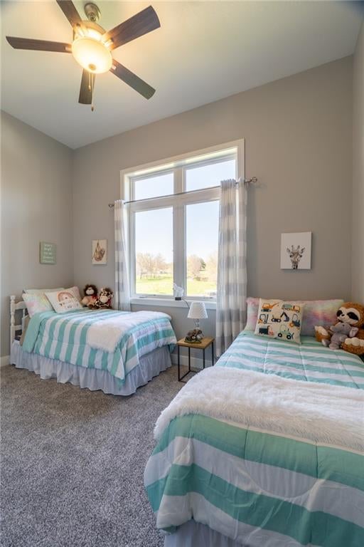 Altamont, Missouri, 64620, United States, 4 Bedrooms Bedrooms, ,4 BathroomsBathrooms,Residential,Active,1774004