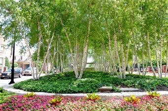 Kansas City, Missouri, 64112, United States, 3 Bedrooms Bedrooms, ,3 BathroomsBathrooms,Residential,Active,1922740