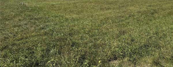 LOT 2 Y HIGHWAY, PLATTSBURG, MO 64477 - Image 1