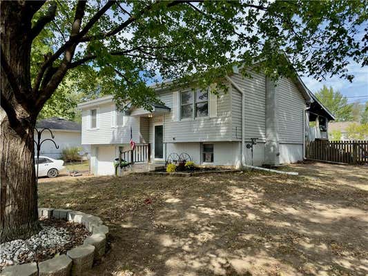 1502 BLUEBERRY DR, HARRISONVILLE, MO 64701 - Image 1