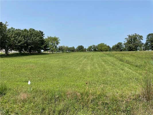 LOT 2433 FISHERMAN ROAD, ALTAMONT, MO 64620 - Image 1