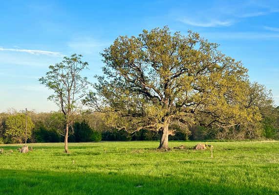 LOT 273 HIGH POINT CT, ATHENS, TX 75752, photo 2 of 9