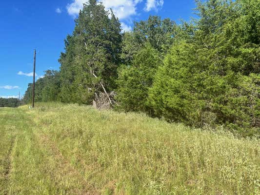 LOT 343 FALLOW RUN, LARUE, TX 75770, photo 4 of 30