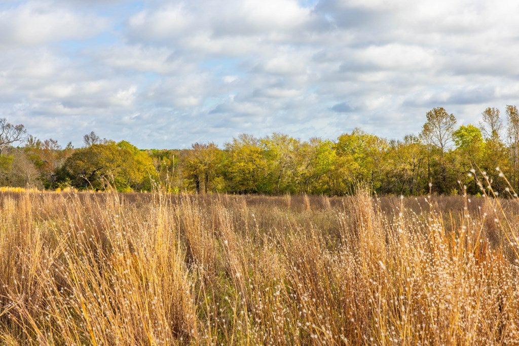 Athens, Texas, 75752, United States, 4 Bedrooms Bedrooms, ,4 BathroomsBathrooms,Residential,Active,1961938