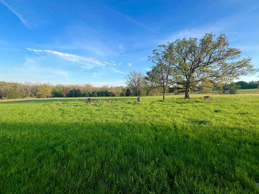 LOT 273 HIGH POINT CT, ATHENS, TX 75752, photo 3 of 9