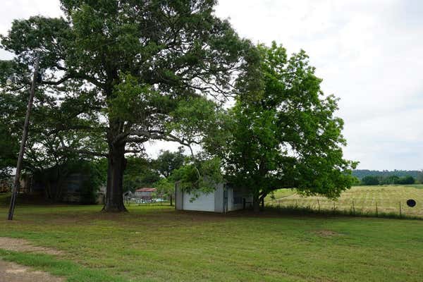 01 SHADY LN, POYNOR, TX 75782, photo 2 of 18