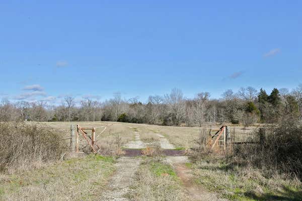 0 FM 1803, MURCHISON (NEAR), TX 75778, photo 3 of 15