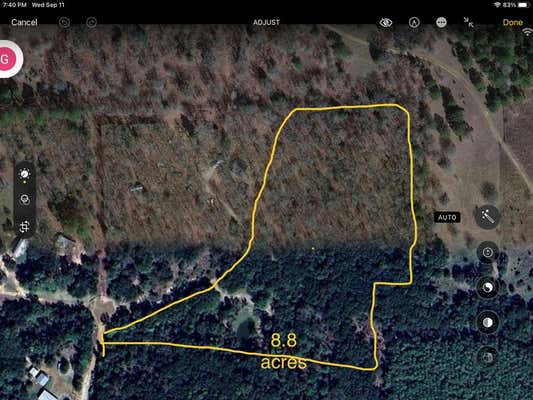 TBD BEAVER POND RD, PALESTINE, TX 75803 - Image 1