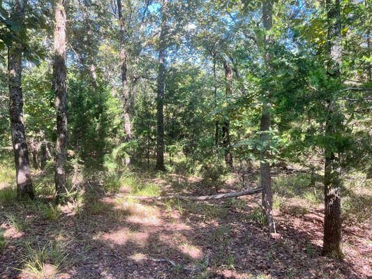 LOT 343 FALLOW RUN, LARUE, TX 75770, photo 2 of 30