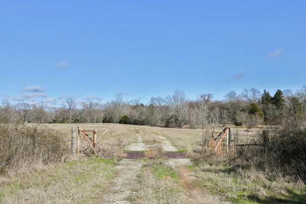 0 FM 1803, MURCHISON (NEAR), TX 75778, photo 4 of 15