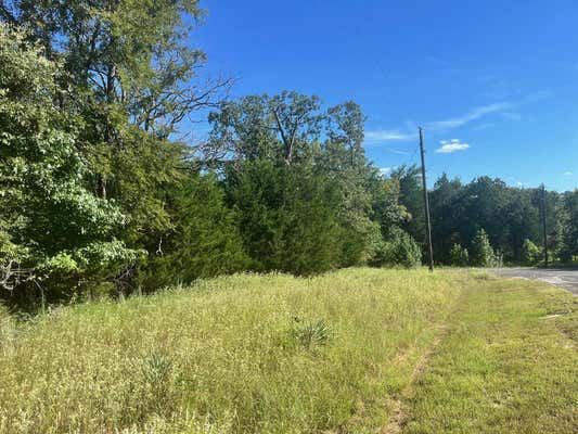 LOT 343 FALLOW RUN, LARUE, TX 75770, photo 3 of 30