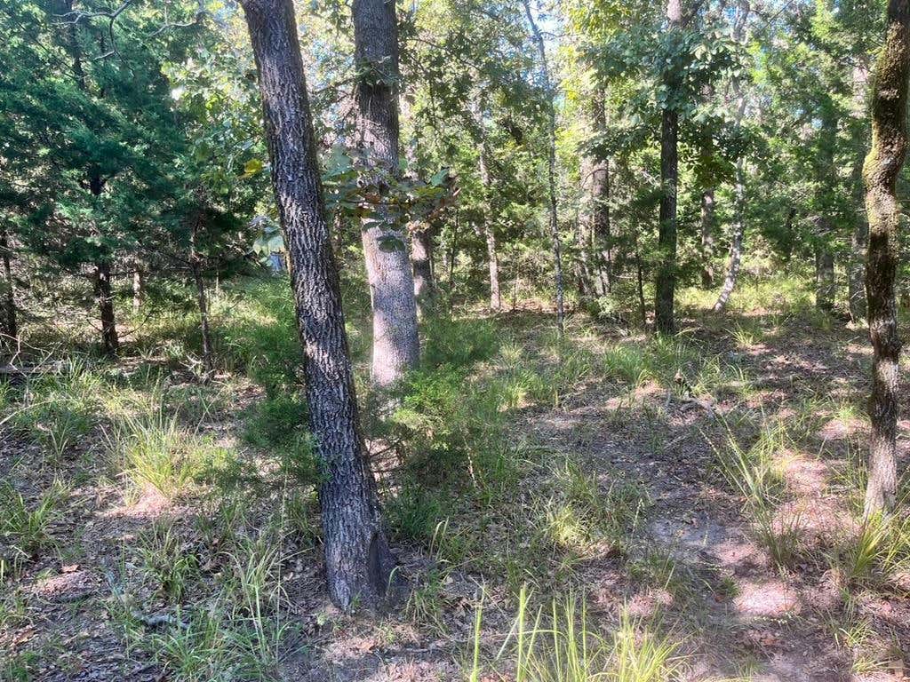 LOT 343 FALLOW RUN, LARUE, TX 75770, photo 1 of 30