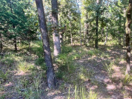 LOT 343 FALLOW RUN, LARUE, TX 75770 - Image 1