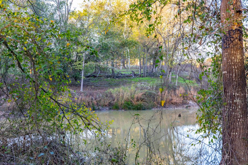Athens, Texas, 75752, United States, 4 Bedrooms Bedrooms, ,4 BathroomsBathrooms,Residential,Active,1961938
