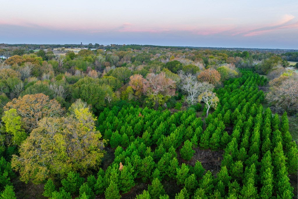 Athens, Texas, 75752, United States, 4 Bedrooms Bedrooms, ,4 BathroomsBathrooms,Residential,Active,1961938