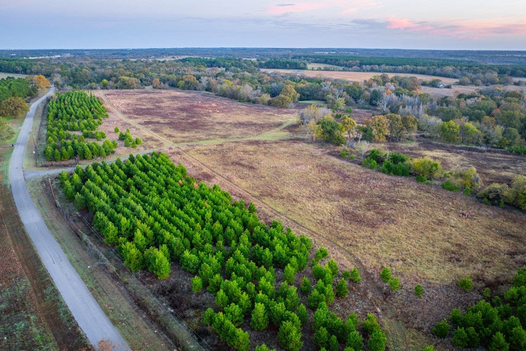 Athens, Texas, 75752, United States, 4 Bedrooms Bedrooms, ,4 BathroomsBathrooms,Residential,Active,1961938