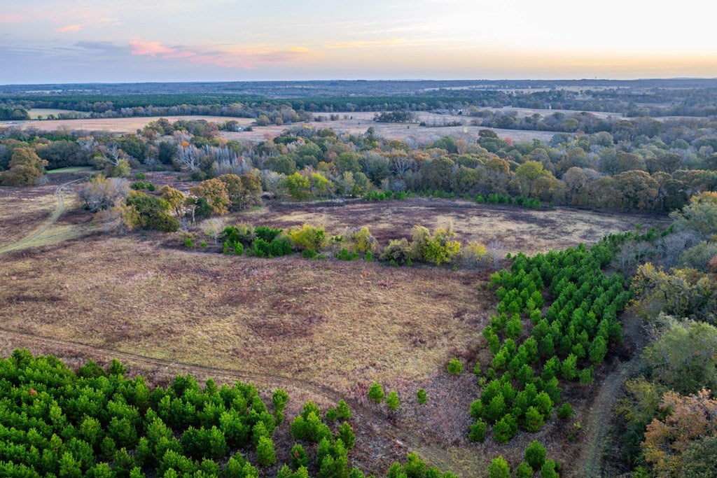Athens, Texas, 75752, United States, 4 Bedrooms Bedrooms, ,4 BathroomsBathrooms,Residential,Active,1961938